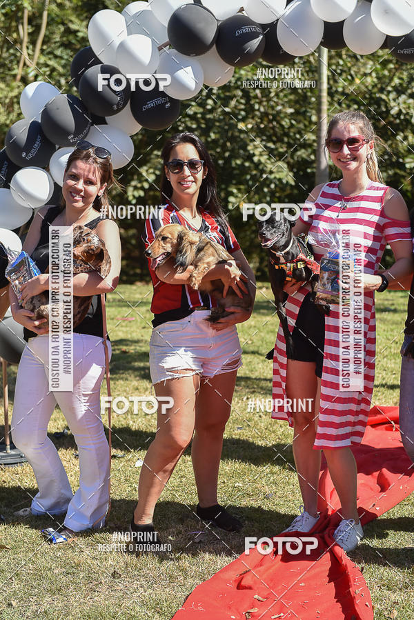 Compre as suas fotos do evento5� Encontro Oficial de Dachshunds e Concurso de Fantasias do Clube dos Salsichanos de Ribeir�o Preto/SP no Fotop