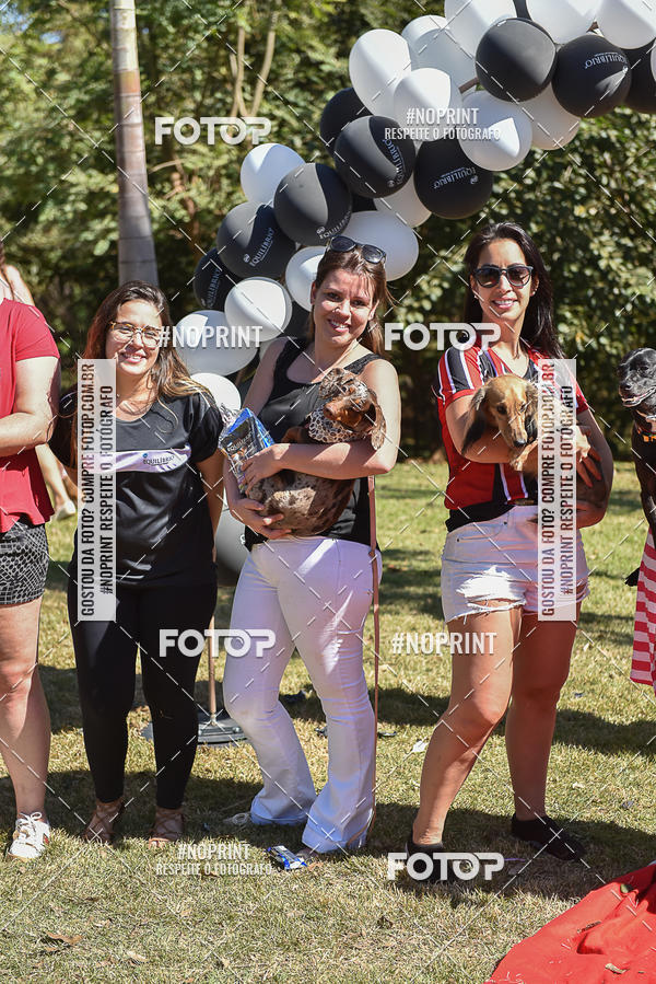 Compre as suas fotos do evento5� Encontro Oficial de Dachshunds e Concurso de Fantasias do Clube dos Salsichanos de Ribeir�o Preto/SP no Fotop