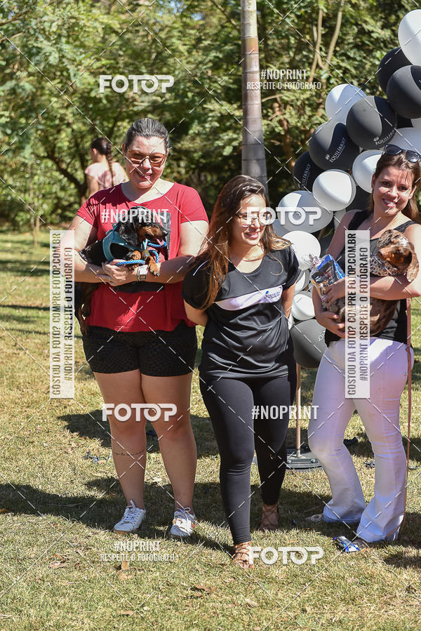 Compre as suas fotos do evento5� Encontro Oficial de Dachshunds e Concurso de Fantasias do Clube dos Salsichanos de Ribeir�o Preto/SP no Fotop