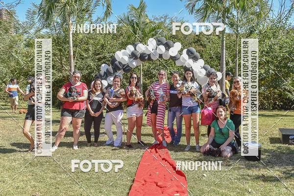 Compre as suas fotos do evento5� Encontro Oficial de Dachshunds e Concurso de Fantasias do Clube dos Salsichanos de Ribeir�o Preto/SP no Fotop