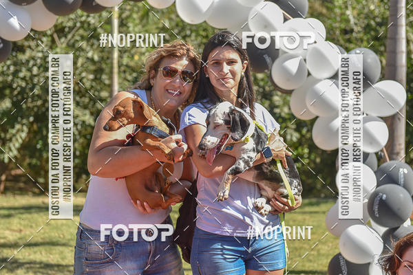 Compre as suas fotos do evento5� Encontro Oficial de Dachshunds e Concurso de Fantasias do Clube dos Salsichanos de Ribeir�o Preto/SP no Fotop