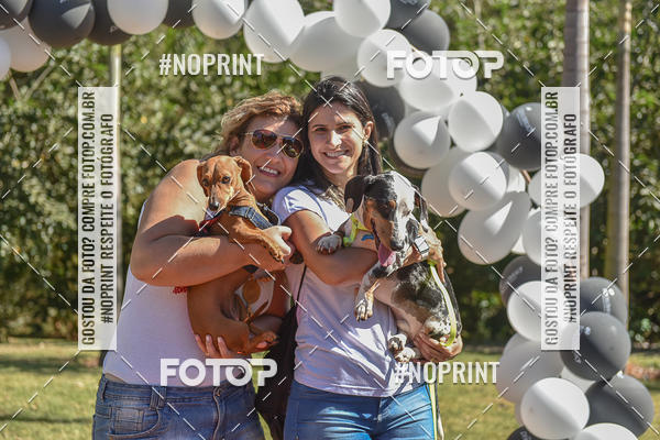 Compre as suas fotos do evento5� Encontro Oficial de Dachshunds e Concurso de Fantasias do Clube dos Salsichanos de Ribeir�o Preto/SP no Fotop