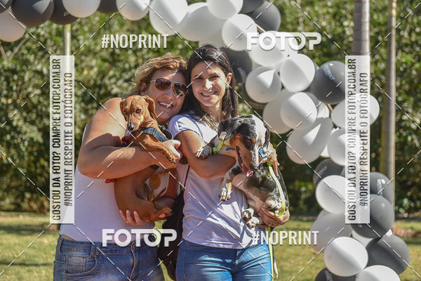 Compre as suas fotos do evento5� Encontro Oficial de Dachshunds e Concurso de Fantasias do Clube dos Salsichanos de Ribeir�o Preto/SP no Fotop
