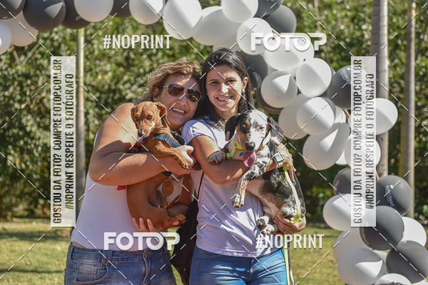 Buy your photos of the event5� Encontro Oficial de Dachshunds e Concurso de Fantasias do Clube dos Salsichanos de Ribeir�o Preto/SP on Fotop