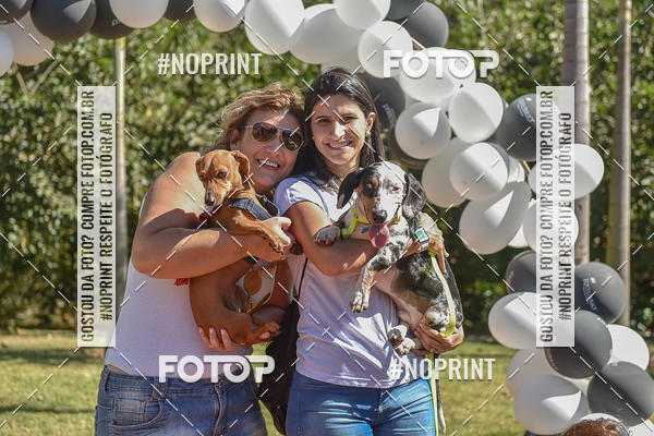 Buy your photos of the event5� Encontro Oficial de Dachshunds e Concurso de Fantasias do Clube dos Salsichanos de Ribeir�o Preto/SP on Fotop