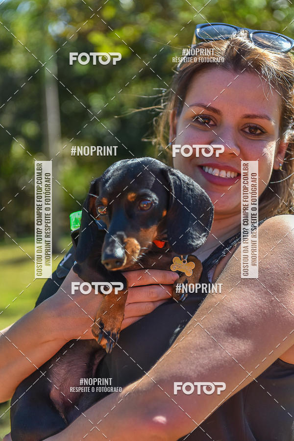 Buy your photos of the event5� Encontro Oficial de Dachshunds e Concurso de Fantasias do Clube dos Salsichanos de Ribeir�o Preto/SP on Fotop