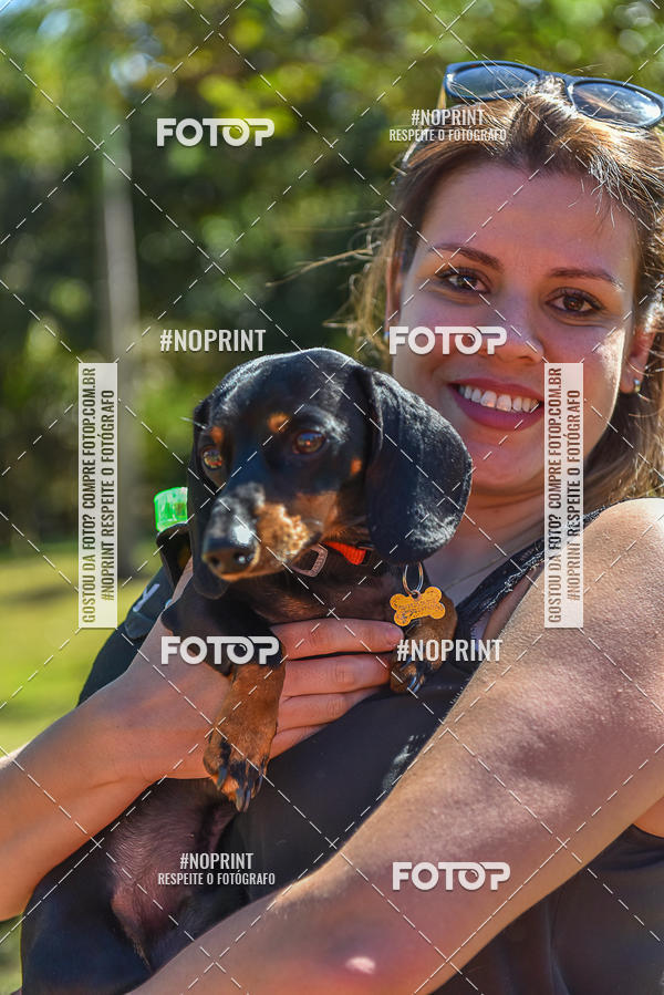 Buy your photos of the event5� Encontro Oficial de Dachshunds e Concurso de Fantasias do Clube dos Salsichanos de Ribeir�o Preto/SP on Fotop