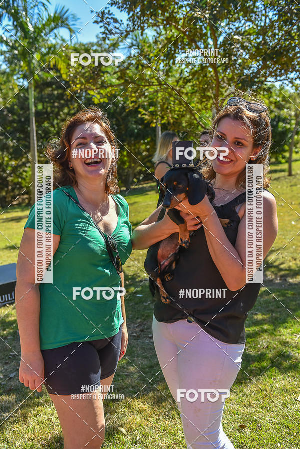 Buy your photos of the event5� Encontro Oficial de Dachshunds e Concurso de Fantasias do Clube dos Salsichanos de Ribeir�o Preto/SP on Fotop