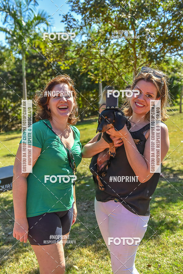 Buy your photos of the event5� Encontro Oficial de Dachshunds e Concurso de Fantasias do Clube dos Salsichanos de Ribeir�o Preto/SP on Fotop