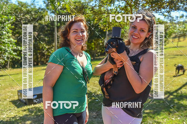 Buy your photos of the event5� Encontro Oficial de Dachshunds e Concurso de Fantasias do Clube dos Salsichanos de Ribeir�o Preto/SP on Fotop