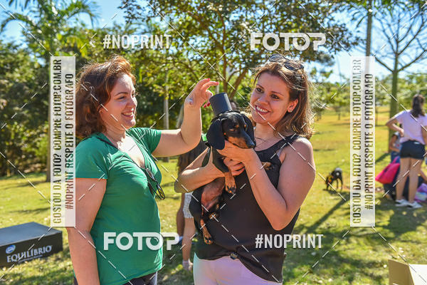 Buy your photos of the event5� Encontro Oficial de Dachshunds e Concurso de Fantasias do Clube dos Salsichanos de Ribeir�o Preto/SP on Fotop