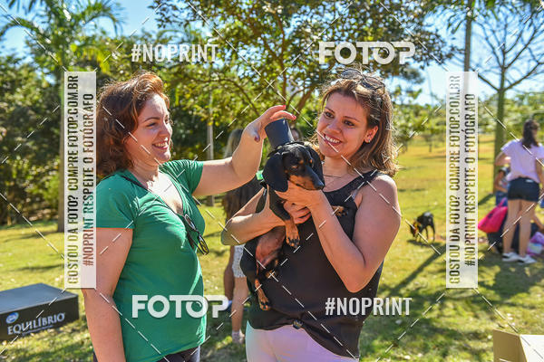 Buy your photos of the event5� Encontro Oficial de Dachshunds e Concurso de Fantasias do Clube dos Salsichanos de Ribeir�o Preto/SP on Fotop