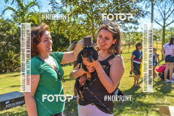 Buy your photos of the event5� Encontro Oficial de Dachshunds e Concurso de Fantasias do Clube dos Salsichanos de Ribeir�o Preto/SP on Fotop