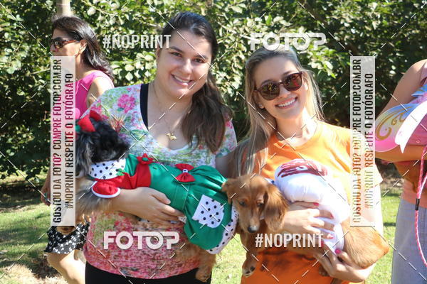 Buy your photos of the event5 Encontro Oficial de Dachshunds e Concurso de Fantasias do Clube dos Salsichanos de Ribeiro Preto/SP on Fotop