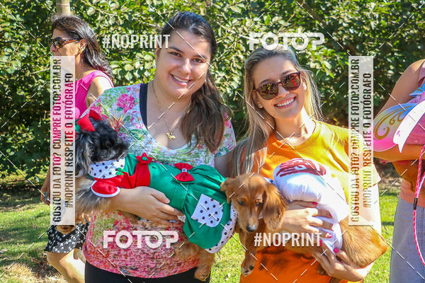 Buy your photos of the event5� Encontro Oficial de Dachshunds e Concurso de Fantasias do Clube dos Salsichanos de Ribeir�o Preto/SP on Fotop