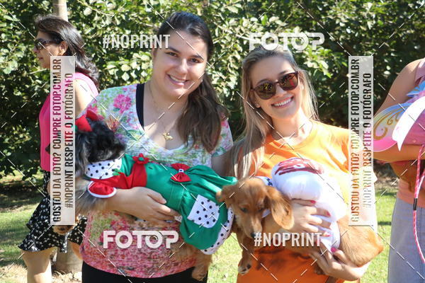 Buy your photos of the event5 Encontro Oficial de Dachshunds e Concurso de Fantasias do Clube dos Salsichanos de Ribeiro Preto/SP on Fotop