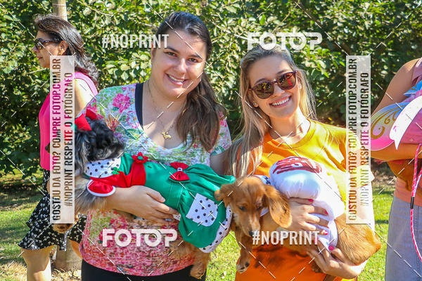 Buy your photos of the event5� Encontro Oficial de Dachshunds e Concurso de Fantasias do Clube dos Salsichanos de Ribeir�o Preto/SP on Fotop