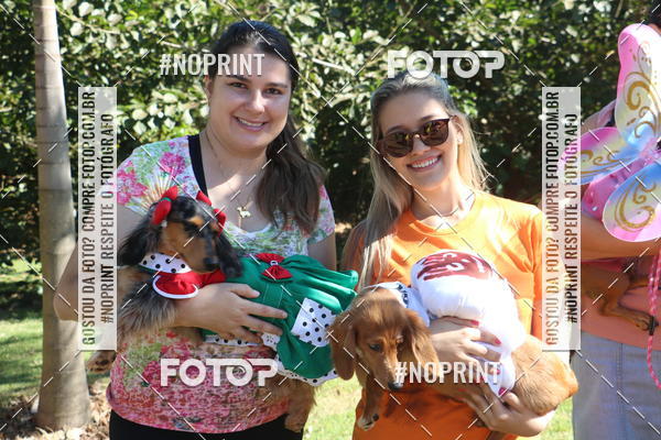 Buy your photos of the event5 Encontro Oficial de Dachshunds e Concurso de Fantasias do Clube dos Salsichanos de Ribeiro Preto/SP on Fotop