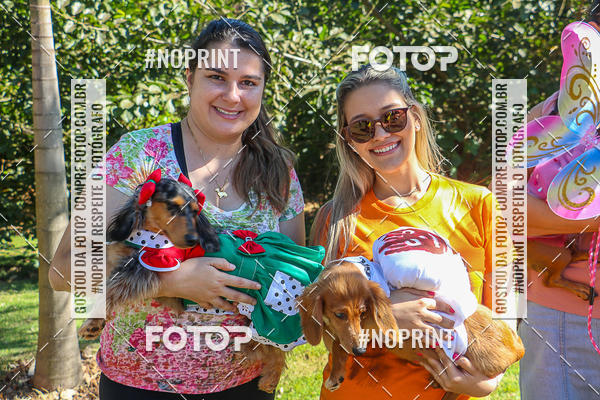 Buy your photos of the event5� Encontro Oficial de Dachshunds e Concurso de Fantasias do Clube dos Salsichanos de Ribeir�o Preto/SP on Fotop
