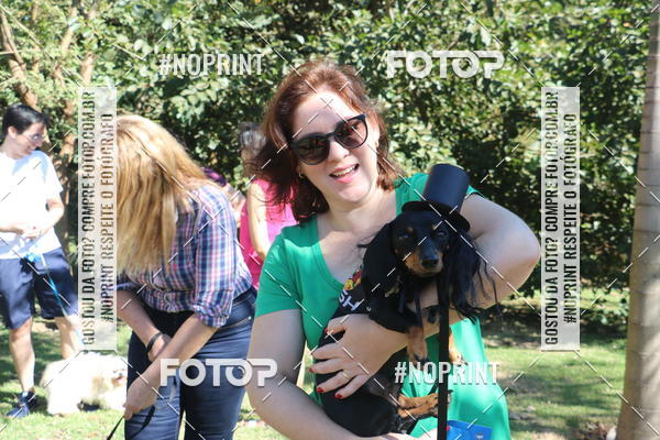 Buy your photos of the event5 Encontro Oficial de Dachshunds e Concurso de Fantasias do Clube dos Salsichanos de Ribeiro Preto/SP on Fotop