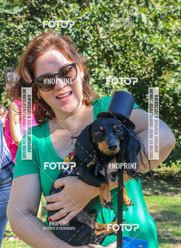 Buy your photos of the event5� Encontro Oficial de Dachshunds e Concurso de Fantasias do Clube dos Salsichanos de Ribeir�o Preto/SP on Fotop
