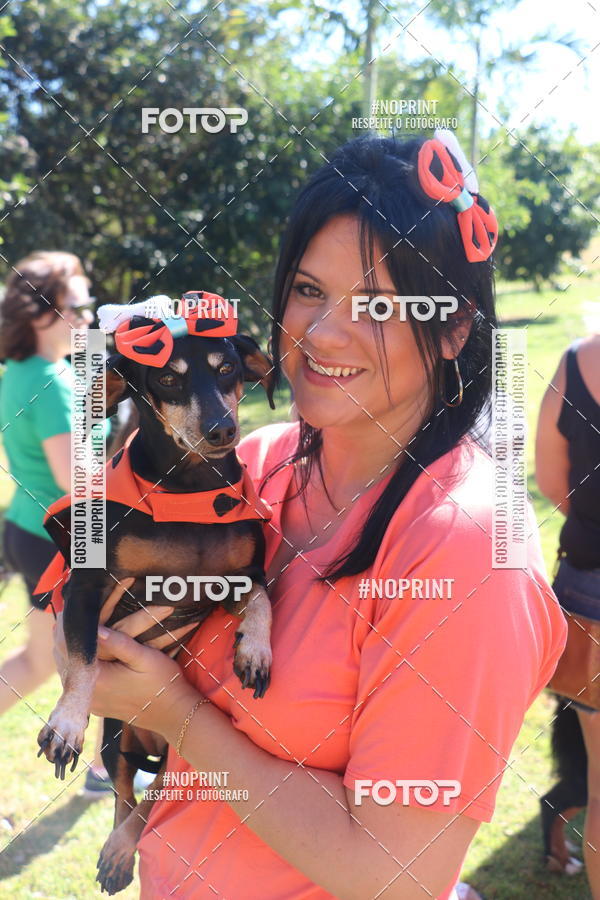 Buy your photos of the event5 Encontro Oficial de Dachshunds e Concurso de Fantasias do Clube dos Salsichanos de Ribeiro Preto/SP on Fotop
