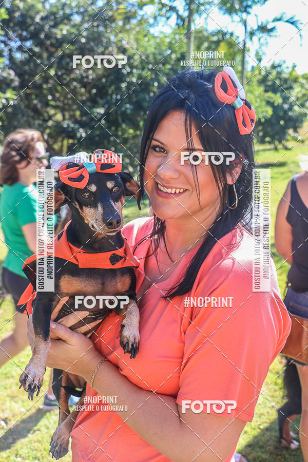 Buy your photos of the event5� Encontro Oficial de Dachshunds e Concurso de Fantasias do Clube dos Salsichanos de Ribeir�o Preto/SP on Fotop