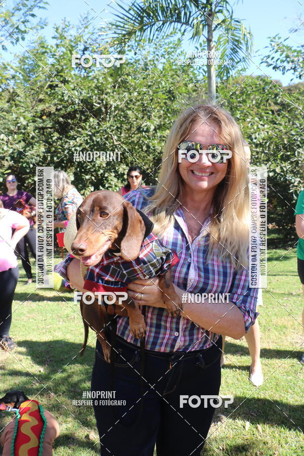 Buy your photos of the event5 Encontro Oficial de Dachshunds e Concurso de Fantasias do Clube dos Salsichanos de Ribeiro Preto/SP on Fotop
