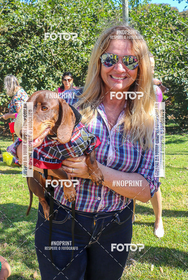 Buy your photos of the event5� Encontro Oficial de Dachshunds e Concurso de Fantasias do Clube dos Salsichanos de Ribeir�o Preto/SP on Fotop