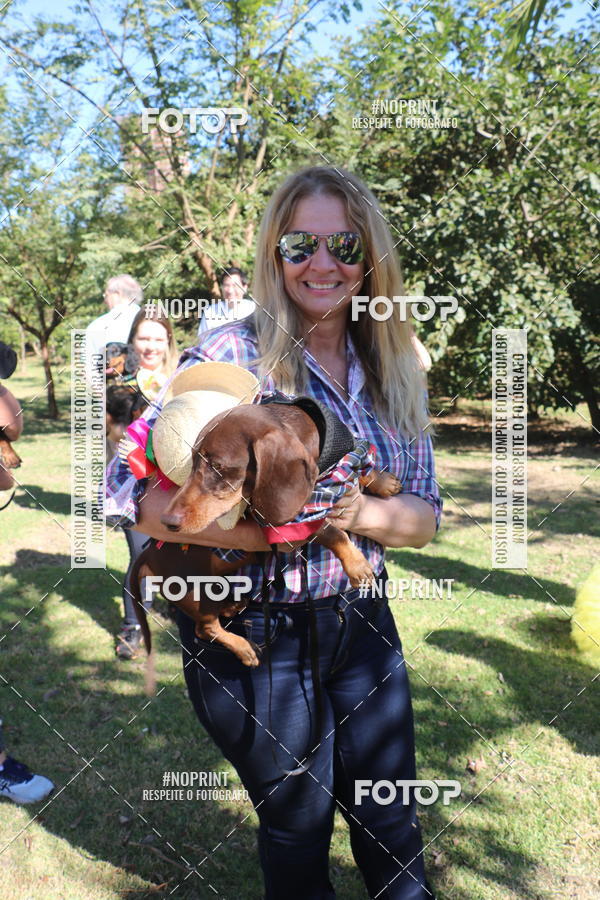 Buy your photos of the event5 Encontro Oficial de Dachshunds e Concurso de Fantasias do Clube dos Salsichanos de Ribeiro Preto/SP on Fotop