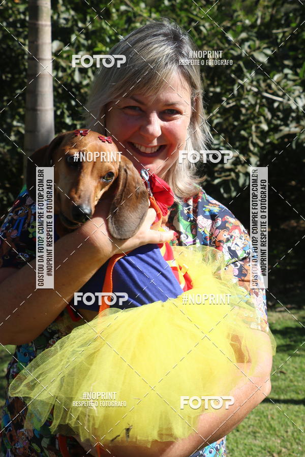 Buy your photos of the event5 Encontro Oficial de Dachshunds e Concurso de Fantasias do Clube dos Salsichanos de Ribeiro Preto/SP on Fotop