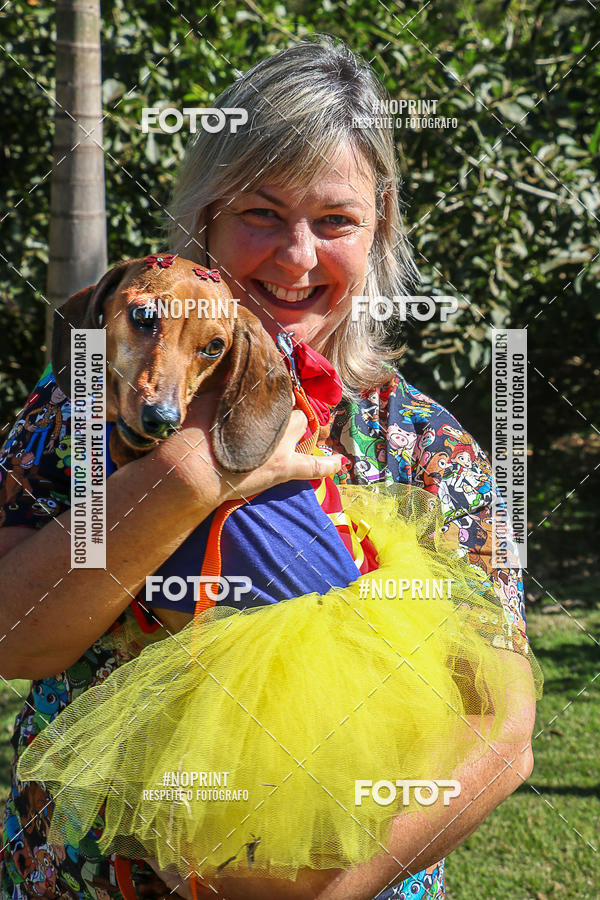 Buy your photos of the event5� Encontro Oficial de Dachshunds e Concurso de Fantasias do Clube dos Salsichanos de Ribeir�o Preto/SP on Fotop
