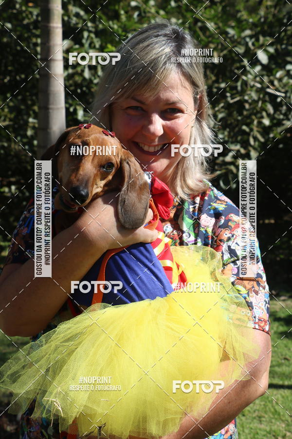 Buy your photos of the event5 Encontro Oficial de Dachshunds e Concurso de Fantasias do Clube dos Salsichanos de Ribeiro Preto/SP on Fotop