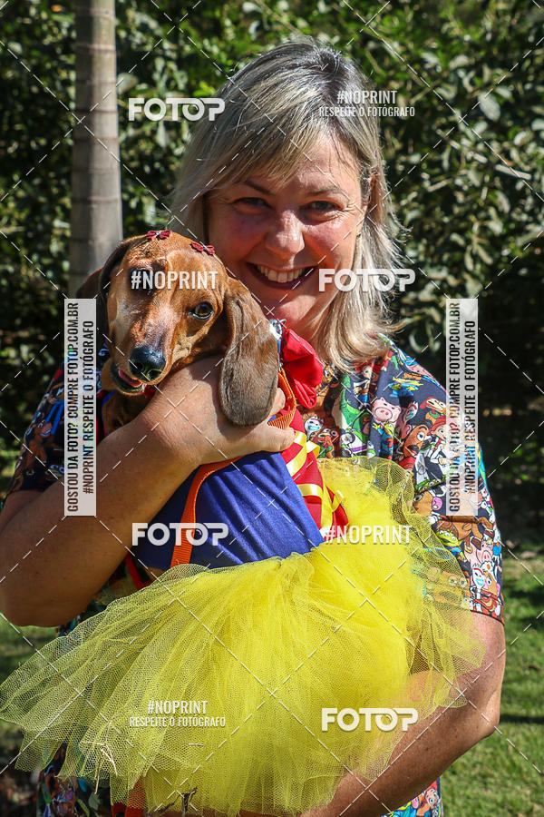 Buy your photos of the event5� Encontro Oficial de Dachshunds e Concurso de Fantasias do Clube dos Salsichanos de Ribeir�o Preto/SP on Fotop