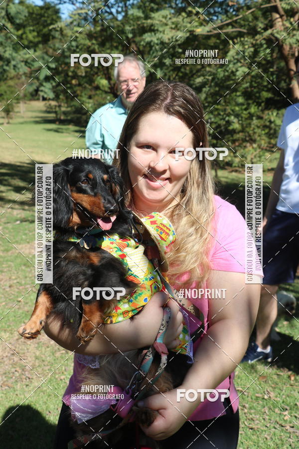 Buy your photos of the event5 Encontro Oficial de Dachshunds e Concurso de Fantasias do Clube dos Salsichanos de Ribeiro Preto/SP on Fotop