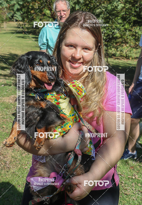 Buy your photos of the event5� Encontro Oficial de Dachshunds e Concurso de Fantasias do Clube dos Salsichanos de Ribeir�o Preto/SP on Fotop