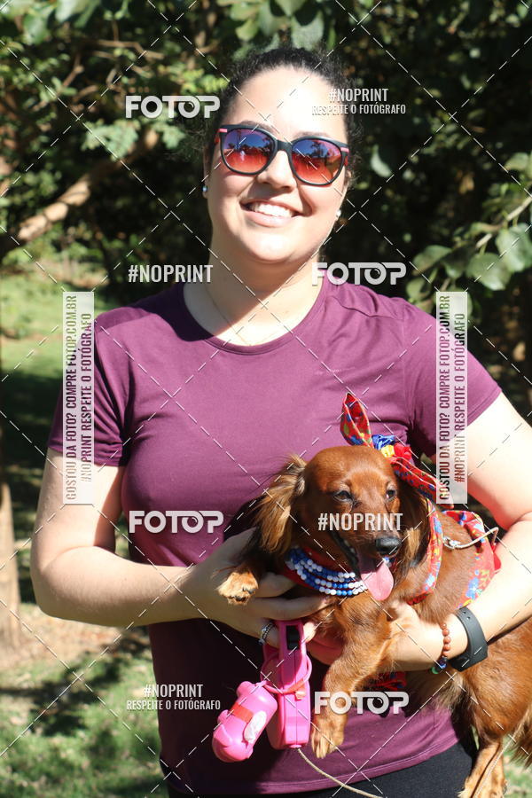 Buy your photos of the event5 Encontro Oficial de Dachshunds e Concurso de Fantasias do Clube dos Salsichanos de Ribeiro Preto/SP on Fotop