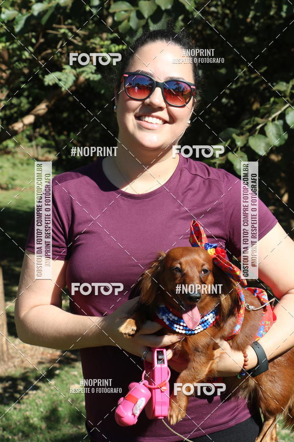 Buy your photos of the event5 Encontro Oficial de Dachshunds e Concurso de Fantasias do Clube dos Salsichanos de Ribeiro Preto/SP on Fotop