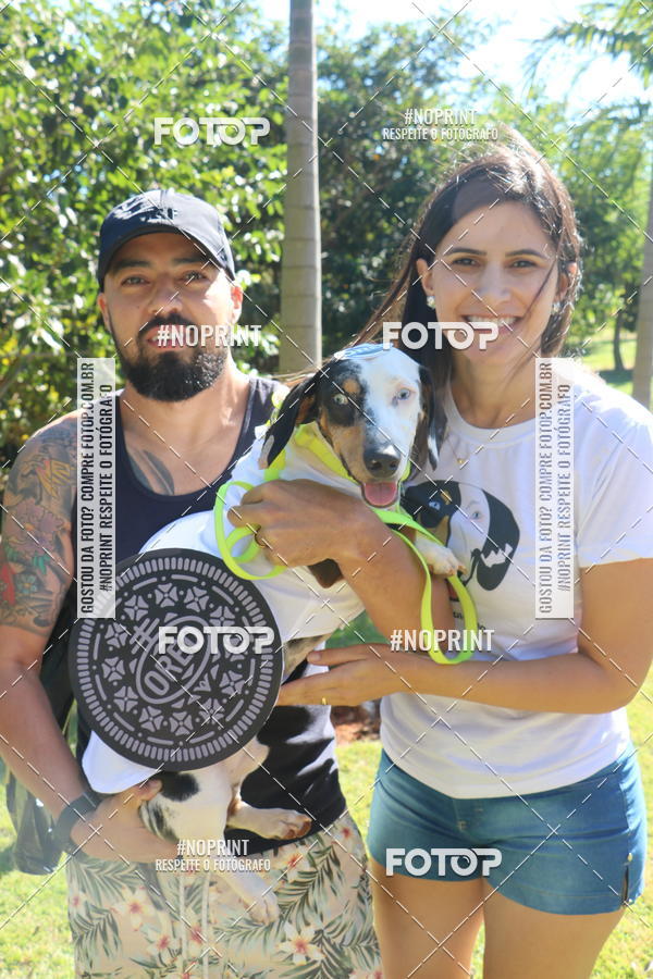 Buy your photos of the event5 Encontro Oficial de Dachshunds e Concurso de Fantasias do Clube dos Salsichanos de Ribeiro Preto/SP on Fotop