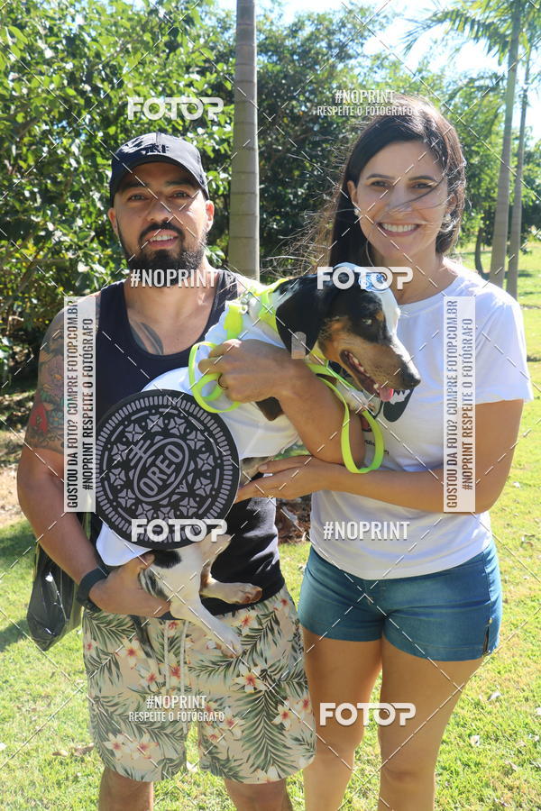 Buy your photos of the event5 Encontro Oficial de Dachshunds e Concurso de Fantasias do Clube dos Salsichanos de Ribeiro Preto/SP on Fotop