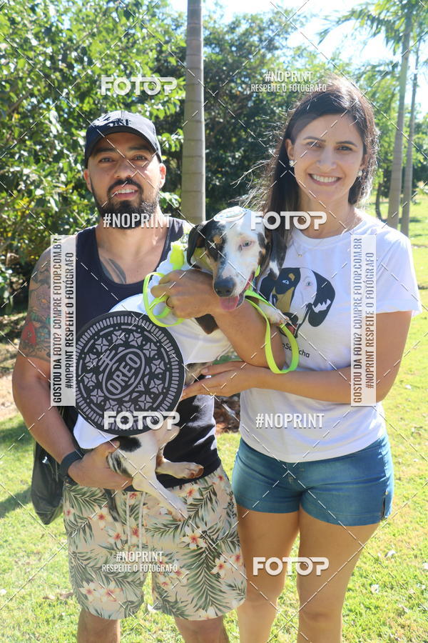 Buy your photos of the event5 Encontro Oficial de Dachshunds e Concurso de Fantasias do Clube dos Salsichanos de Ribeiro Preto/SP on Fotop