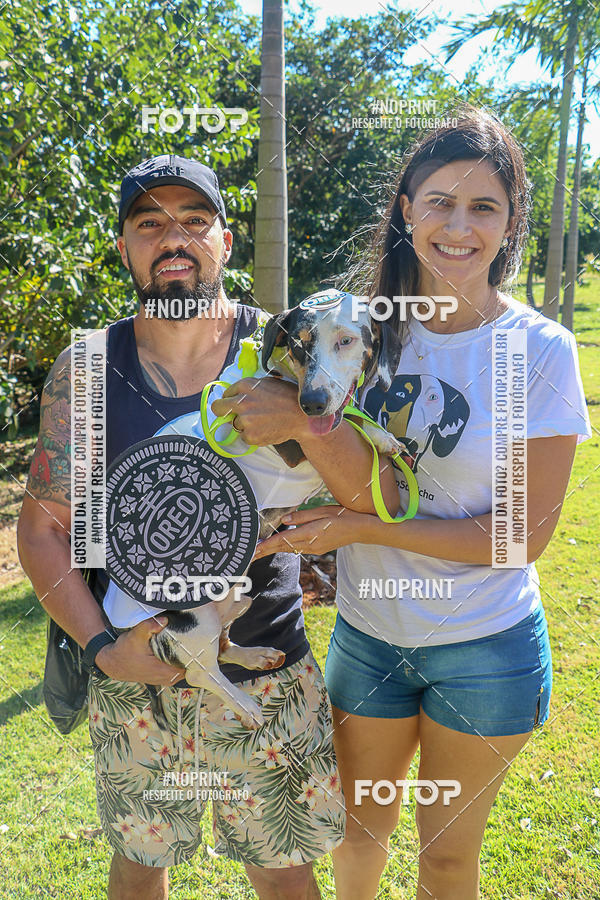 Buy your photos of the event5� Encontro Oficial de Dachshunds e Concurso de Fantasias do Clube dos Salsichanos de Ribeir�o Preto/SP on Fotop