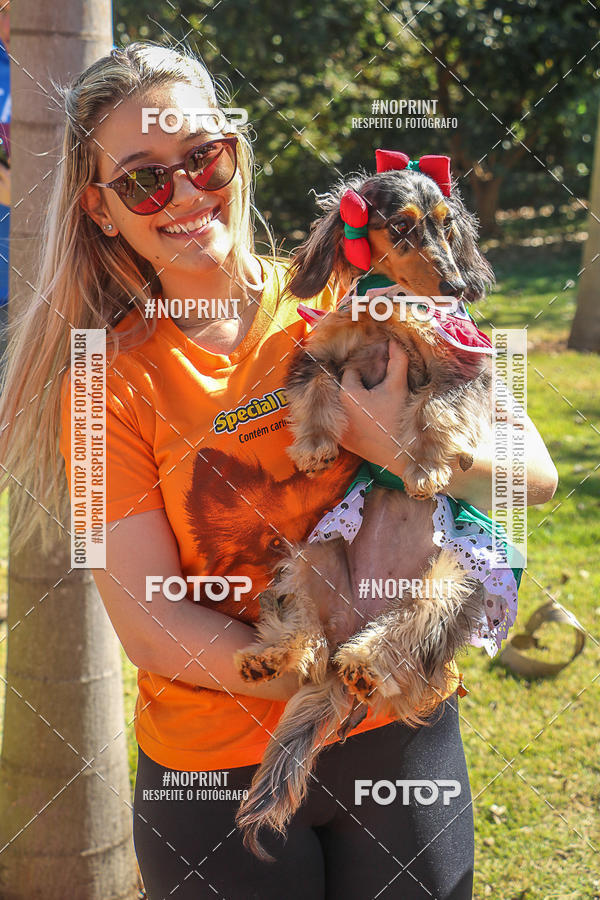 Buy your photos of the event5� Encontro Oficial de Dachshunds e Concurso de Fantasias do Clube dos Salsichanos de Ribeir�o Preto/SP on Fotop