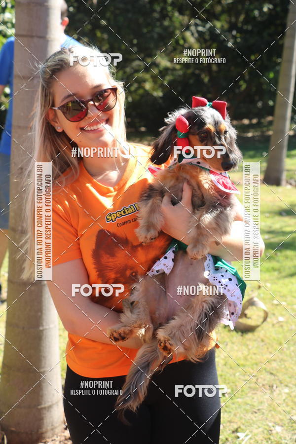 Buy your photos of the event5 Encontro Oficial de Dachshunds e Concurso de Fantasias do Clube dos Salsichanos de Ribeiro Preto/SP on Fotop