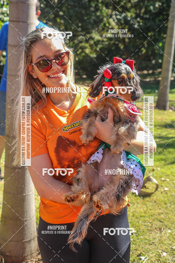 Buy your photos of the event5� Encontro Oficial de Dachshunds e Concurso de Fantasias do Clube dos Salsichanos de Ribeir�o Preto/SP on Fotop