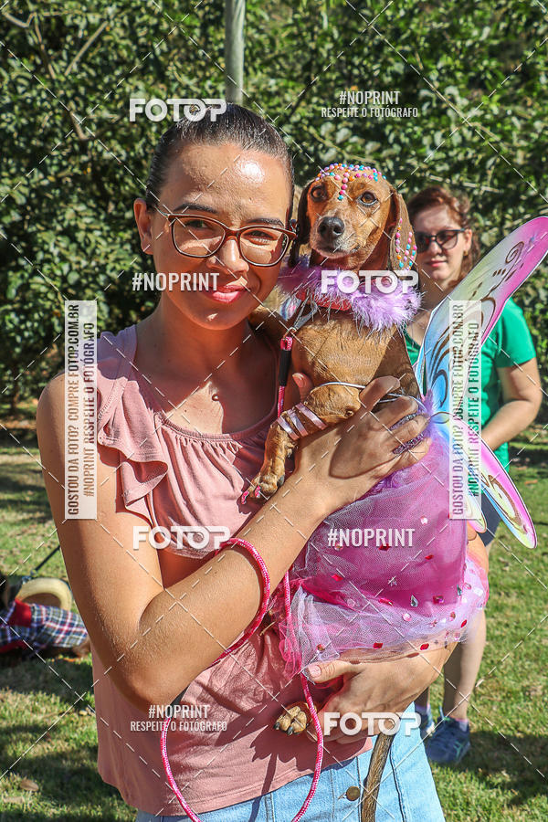Buy your photos of the event5� Encontro Oficial de Dachshunds e Concurso de Fantasias do Clube dos Salsichanos de Ribeir�o Preto/SP on Fotop