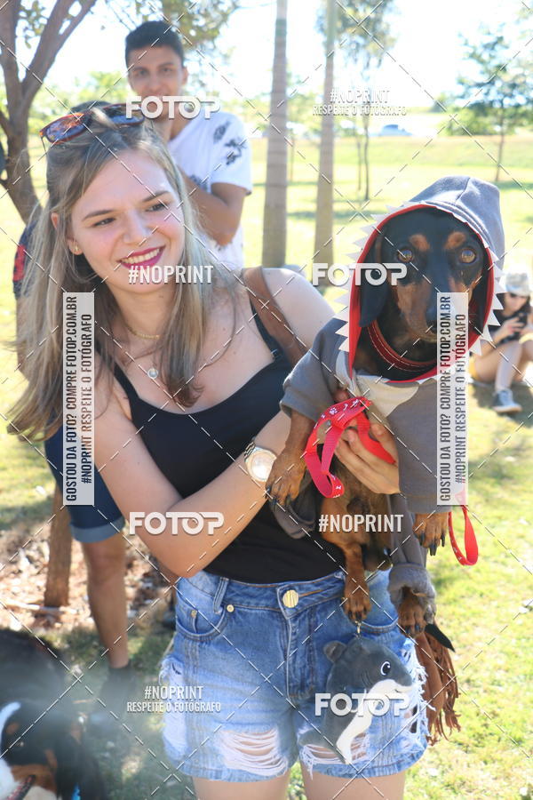 Buy your photos of the event5 Encontro Oficial de Dachshunds e Concurso de Fantasias do Clube dos Salsichanos de Ribeiro Preto/SP on Fotop