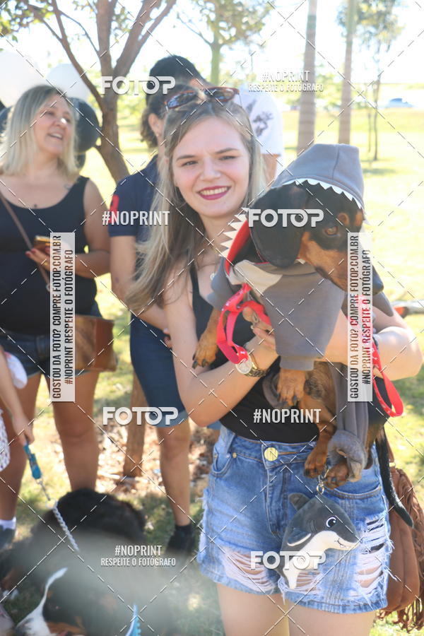Buy your photos of the event5 Encontro Oficial de Dachshunds e Concurso de Fantasias do Clube dos Salsichanos de Ribeiro Preto/SP on Fotop