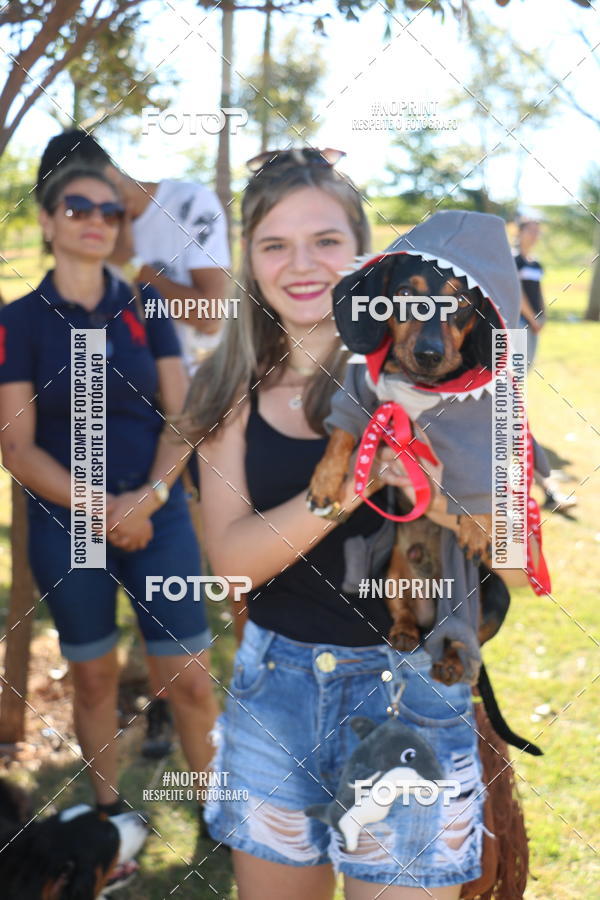 Buy your photos of the event5 Encontro Oficial de Dachshunds e Concurso de Fantasias do Clube dos Salsichanos de Ribeiro Preto/SP on Fotop
