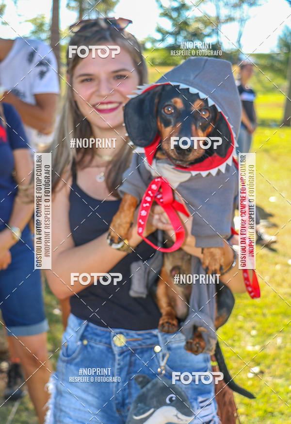 Buy your photos of the event5� Encontro Oficial de Dachshunds e Concurso de Fantasias do Clube dos Salsichanos de Ribeir�o Preto/SP on Fotop